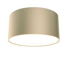 Потолочный светильник Maytoni Zon C032CL-12W4K-RD-MG_MY