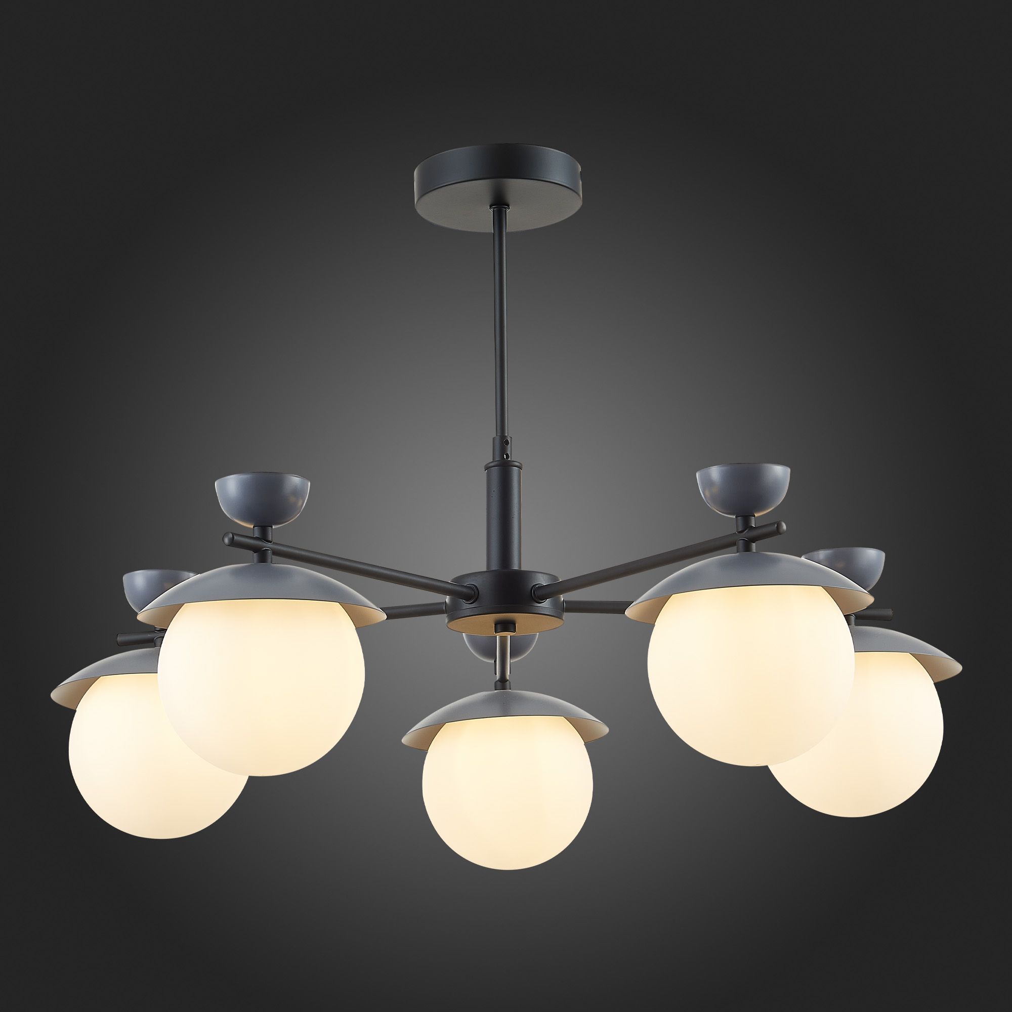 Потолочная люстра Evoluce GENOVA SLE220202-05