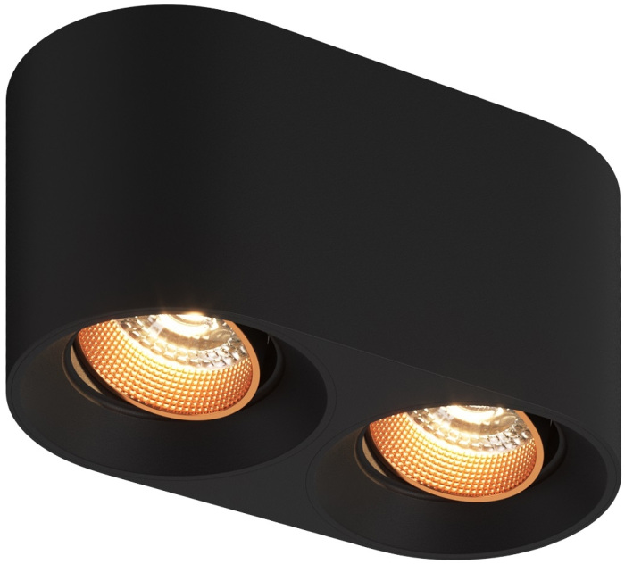 Накладной светильник Denkirs DK3096-BK+BR