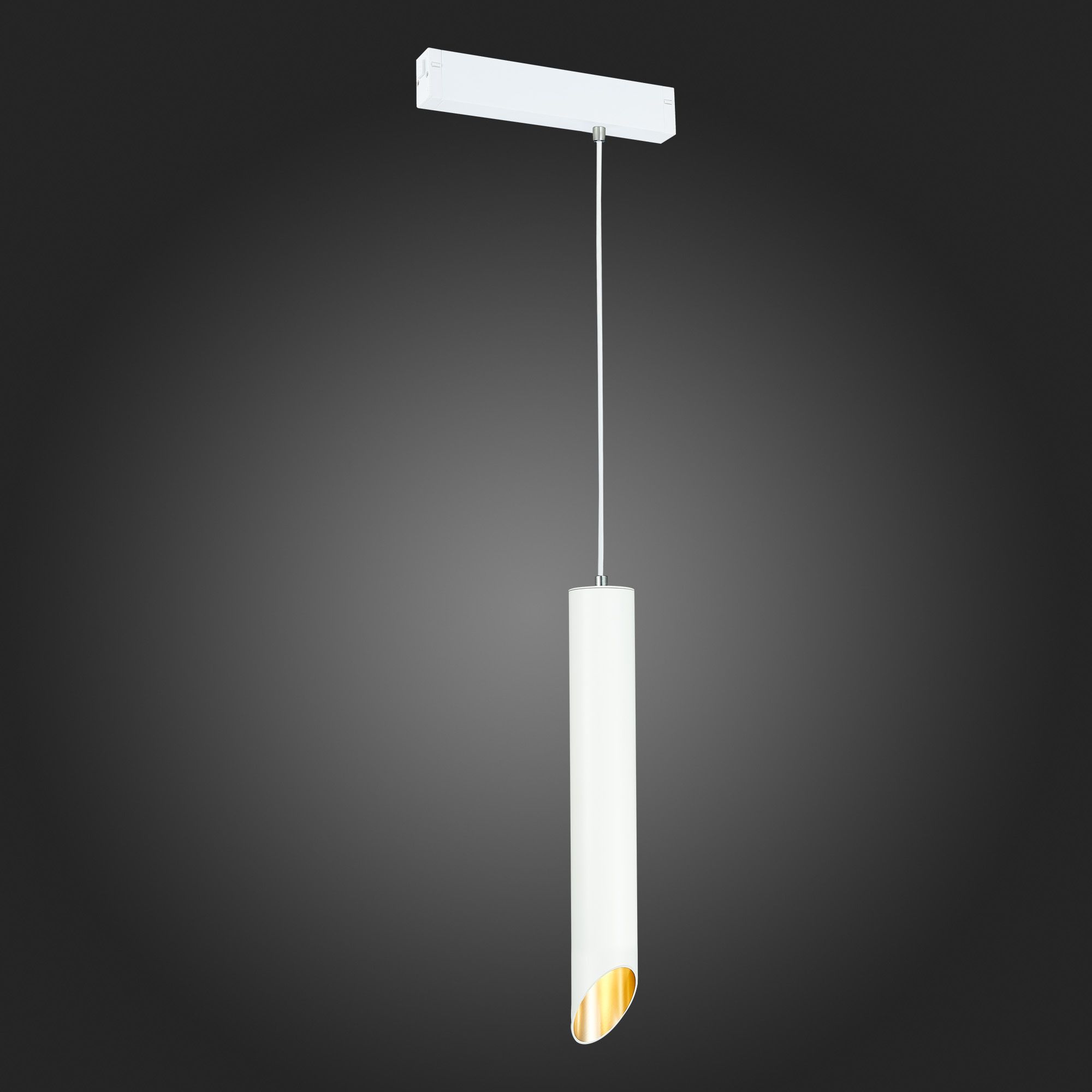 Трековый светильник ST LUCE SKYLINE 220 ST508.513.01