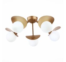 Потолочная люстра Evoluce BOLZANO SLE220502-05