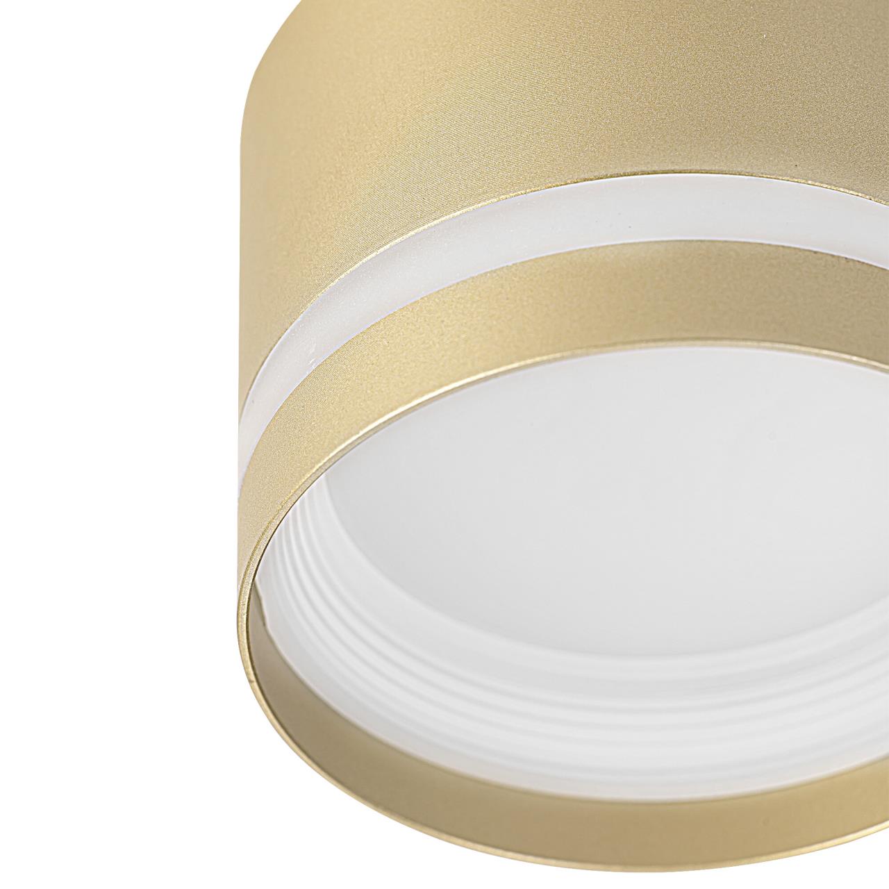 Накладной светильник CitiLux Hardy CL002C12