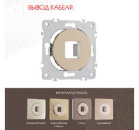 Вывод кабеля Arte Milano 202.49-1.shampan