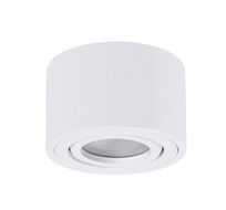 Точечный накладной светильник Arte Lamp UNITO A0550PL-1WH