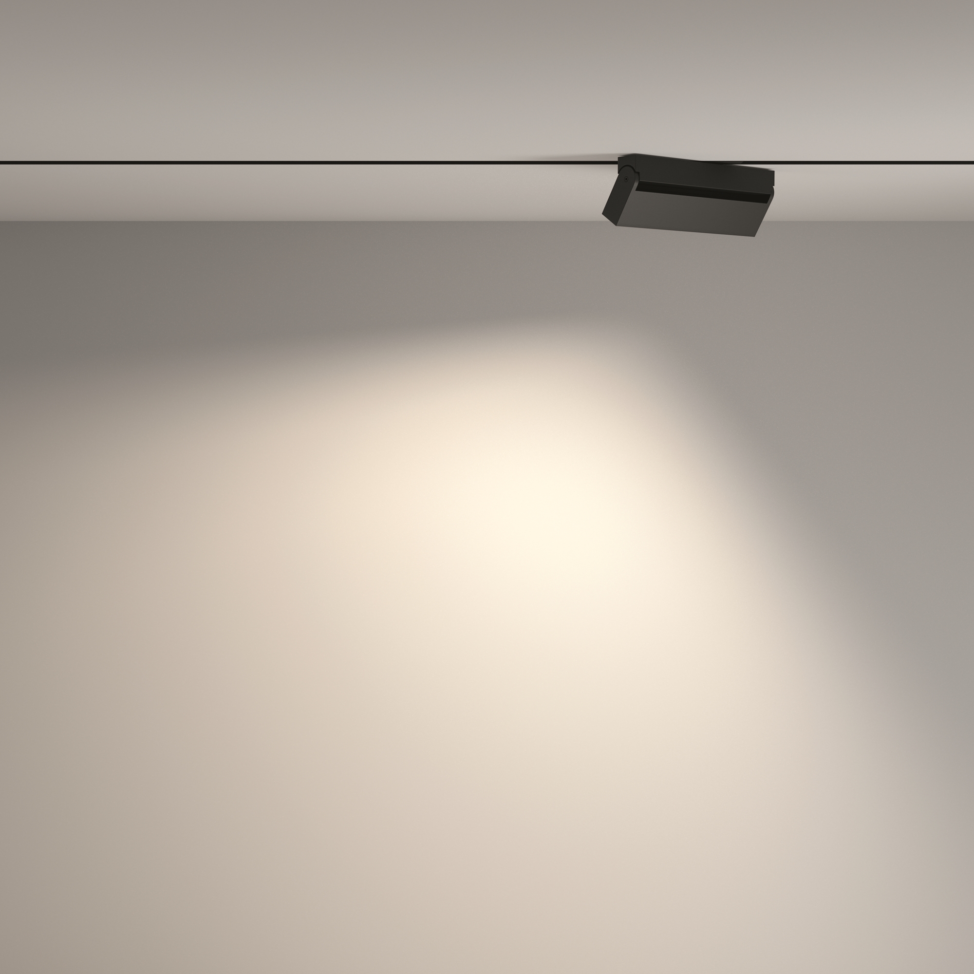 Трековый светильник Maytoni Technical Points Rot TR077-2-20W4K-B_MY