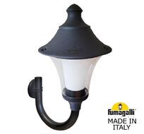 Уличный настенный светильник FUMAGALLI ILIO/REMO R50.251.000.AXH27