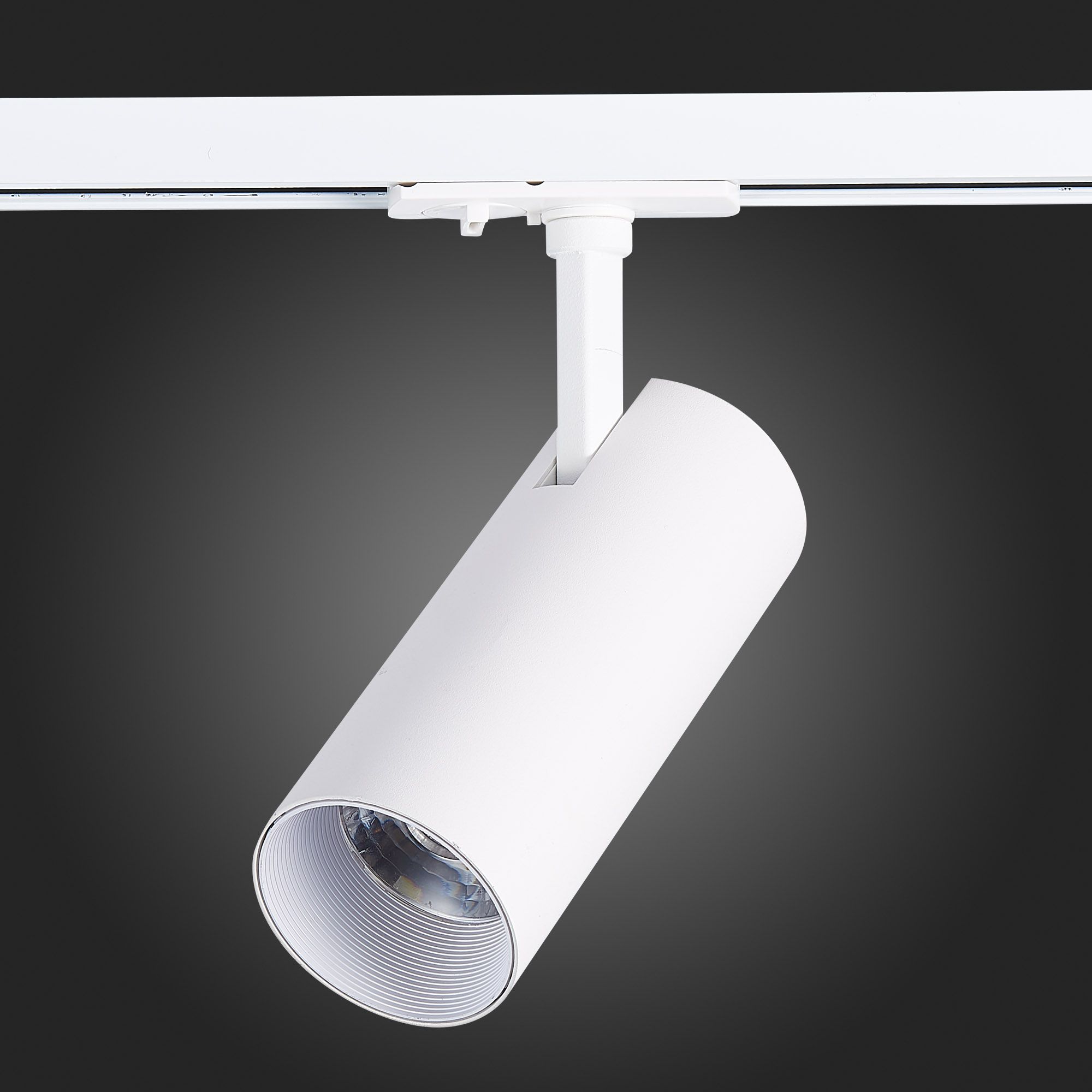 Трековый светильник ST Luce однофазный MONO ST350.546.20.36