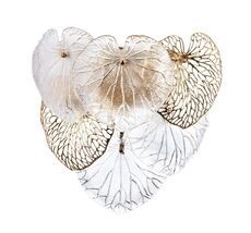 Настенный светильник ArteLamp KAPRI A4078AP-2GO