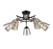 Потолочный светильник Arte Lamp GLASSY A5078PL-5BK