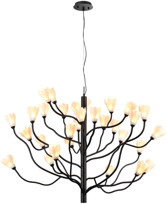 Подвесная люстра ODEON LIGHT GARDI 5090/30