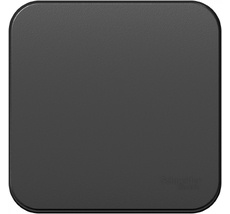 Выключатель накладной с самовозвратом одноклавишный (антрацит) Systeme Electric BLNCA101016