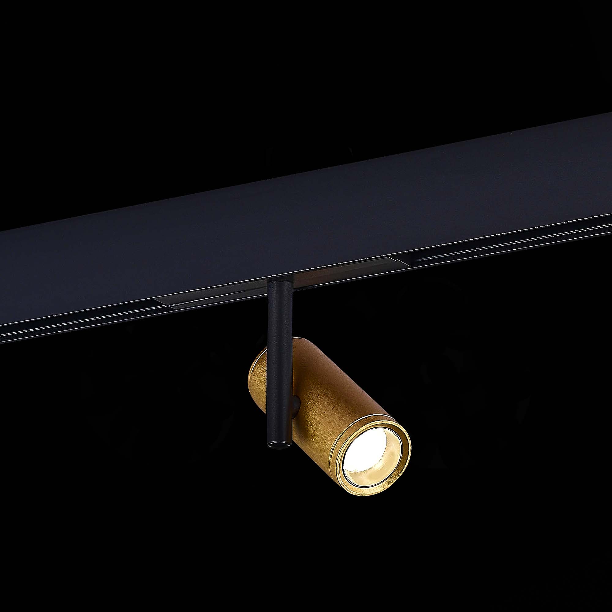 Магнитный трековый светильник ST LUCE SKYLINE 48 ST808.246.08