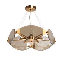 Подвесная люстра MW-Light Илоника 451012105_MW