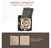 Розетка с заземлением шторками и защитной крышкой 16A 250V Arte Milano 217.41-1.shampan