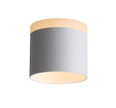 Накладной светильник ST Luce PANAGGIO ST102.502.12