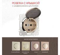 Розетка с заземлением шторками и защитной крышкой 16A 250V Arte Milano 202.41-1.shampan