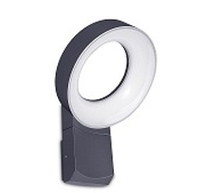 Настенный светильник уличный светодиодный IP54 Oasis Light W6163S Gr_OL