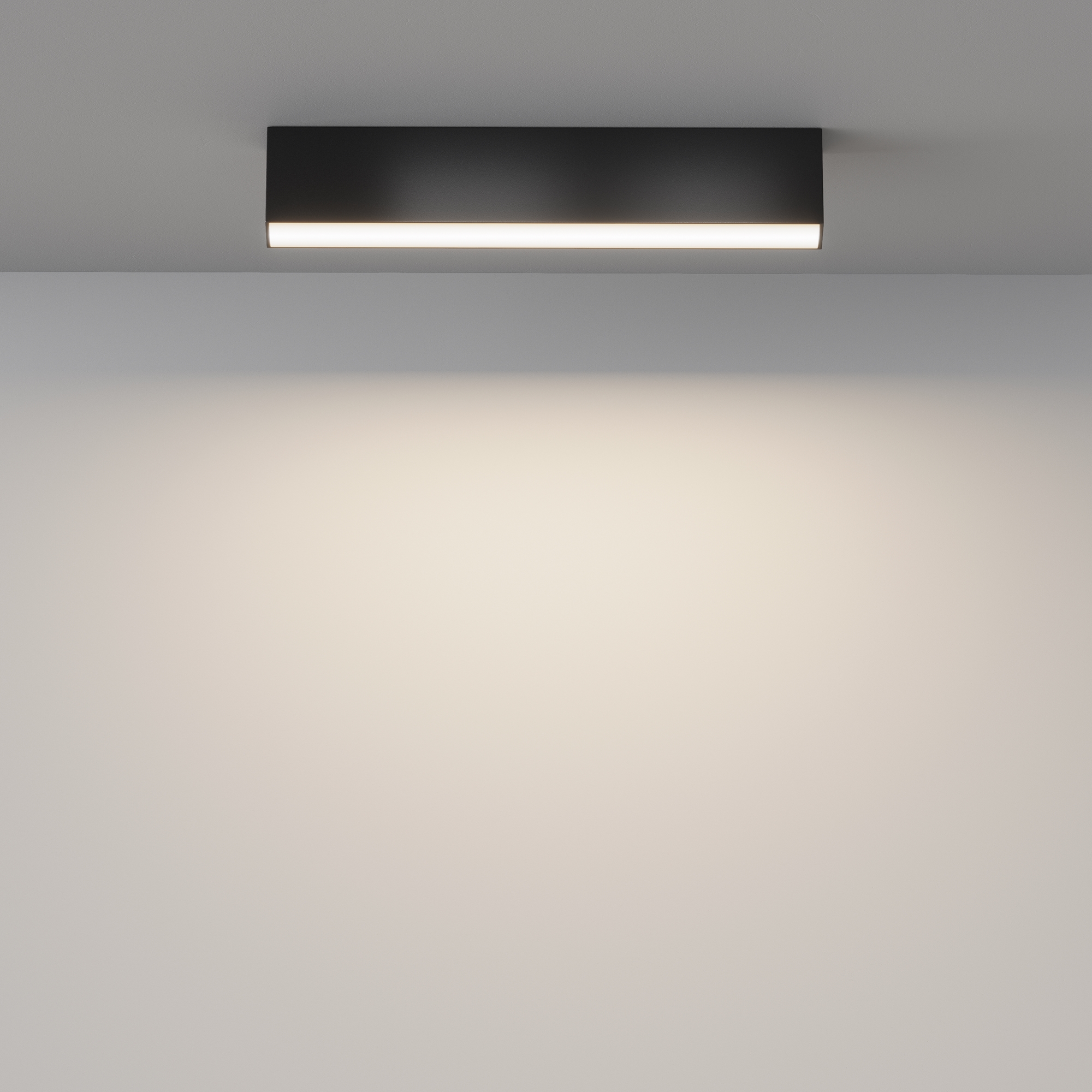 Потолочный светильник Maytoni Basis C068CL-20W3-6K-B_MY