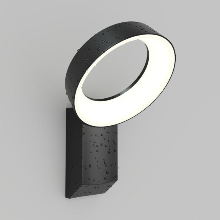 Светильник настенный Denkirs SANVIK DK9712-BK