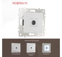 Розетка TV Arte Milano 203.43-1.silver
