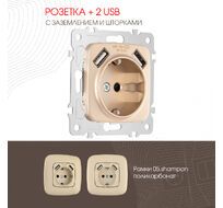 Розетка с заземлением шторками + 2 USB 16A 250V USB DC 5V 2.1A Arte Milano 205.47-1.shampan