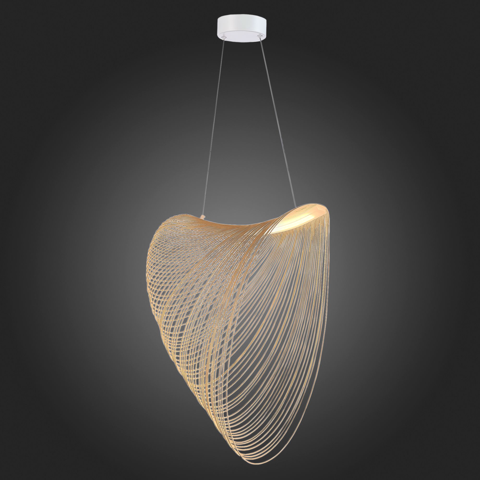 Подвесной светильник ST Luce FOSSIL SL6900.503.32