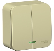 Выключатель накладной двухклавишный с подсветкой (бежевый) Systeme Electric BLNVA105117