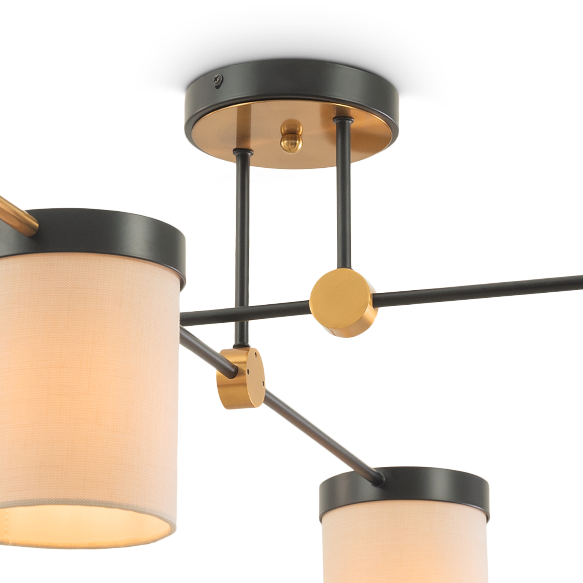 Потолочная люстра Freya Bogy FR5377CL-04B_MY