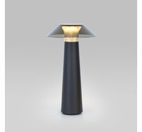 Настольная лампа Elektrostandard Future a062379_ES