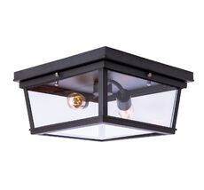 Потолочный светильник Loft IT Modern filament LOFT3110-2C_LF