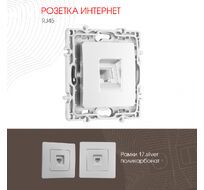 Розетка интернет RJ45 Arte Milano 217.45-1.silver