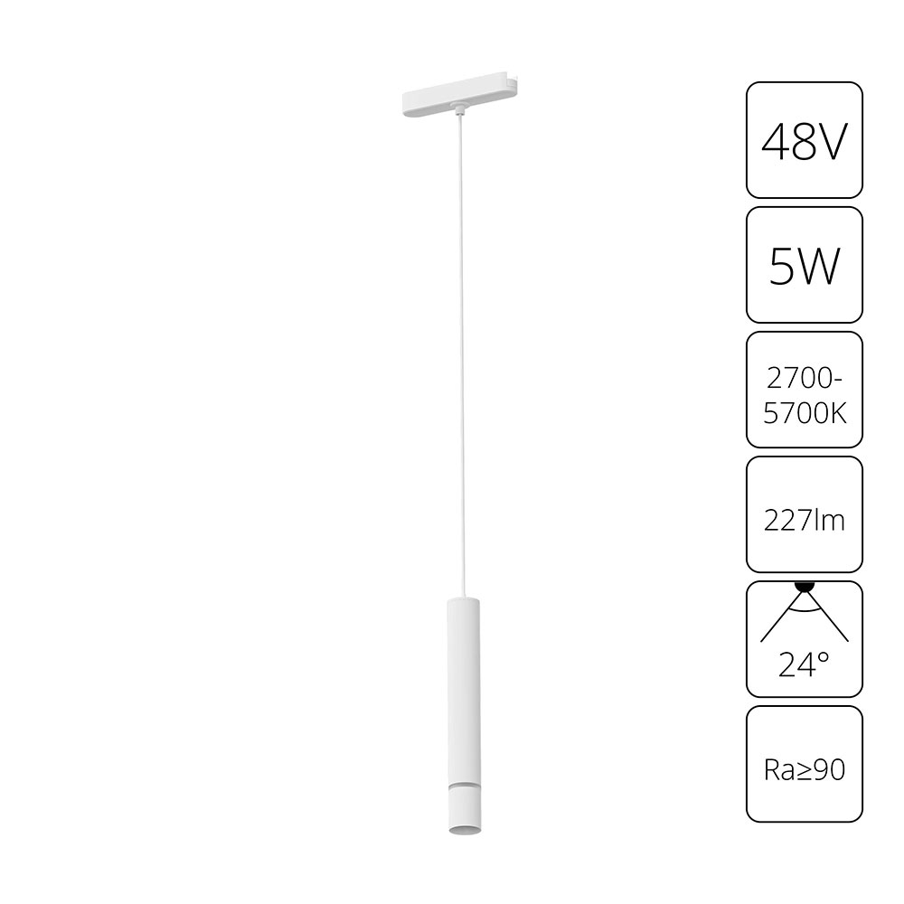 Трековый подвесной светильник Arte Lamp RAPID A2959PL-1WH