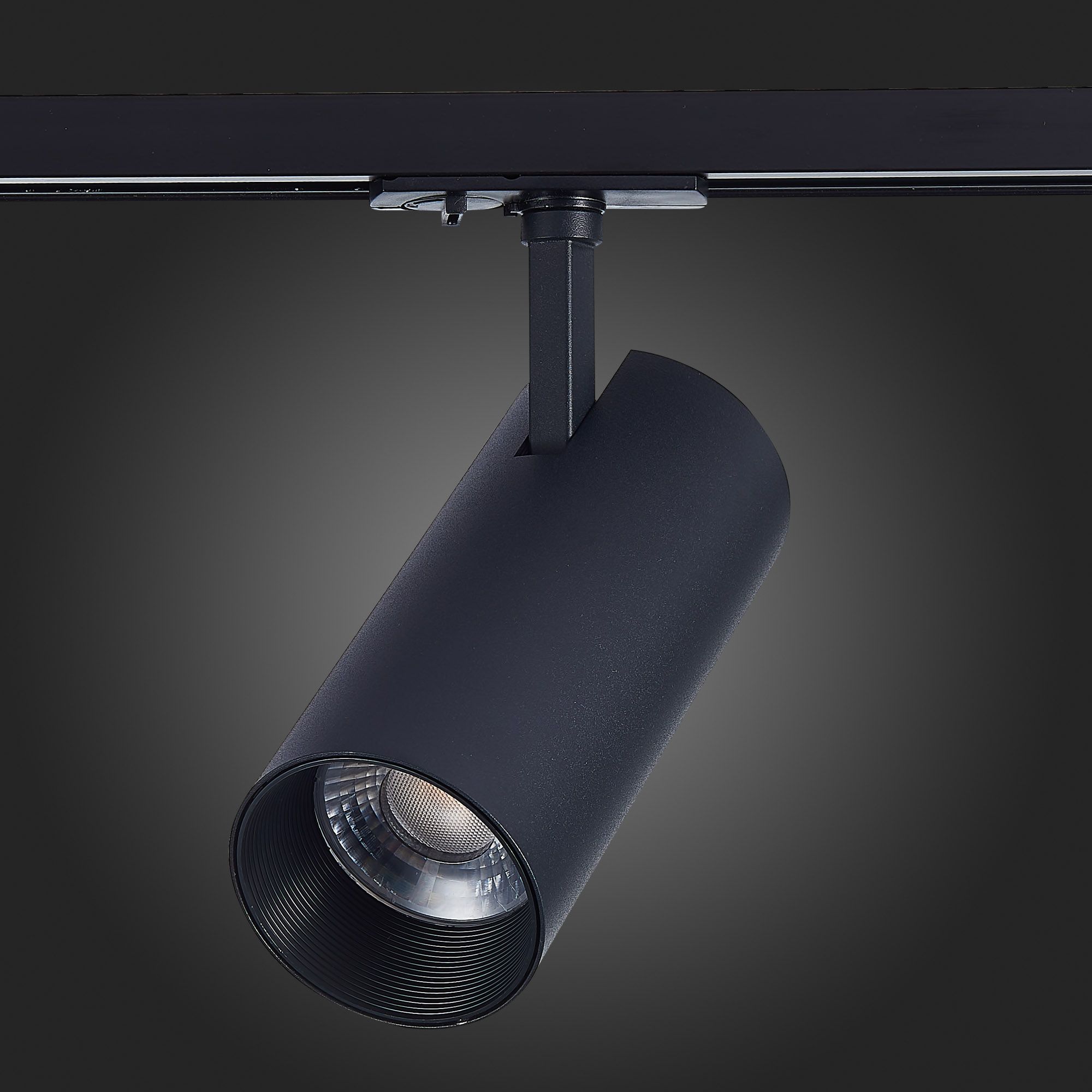 Трековый светильник ST Luce однофазный MONO ST350.446.30.36