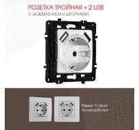 Розетка с заземлением шторками + 2 USB 16A 250V USB DC 5V 2.1A Arte Milano 217.47-1.silver