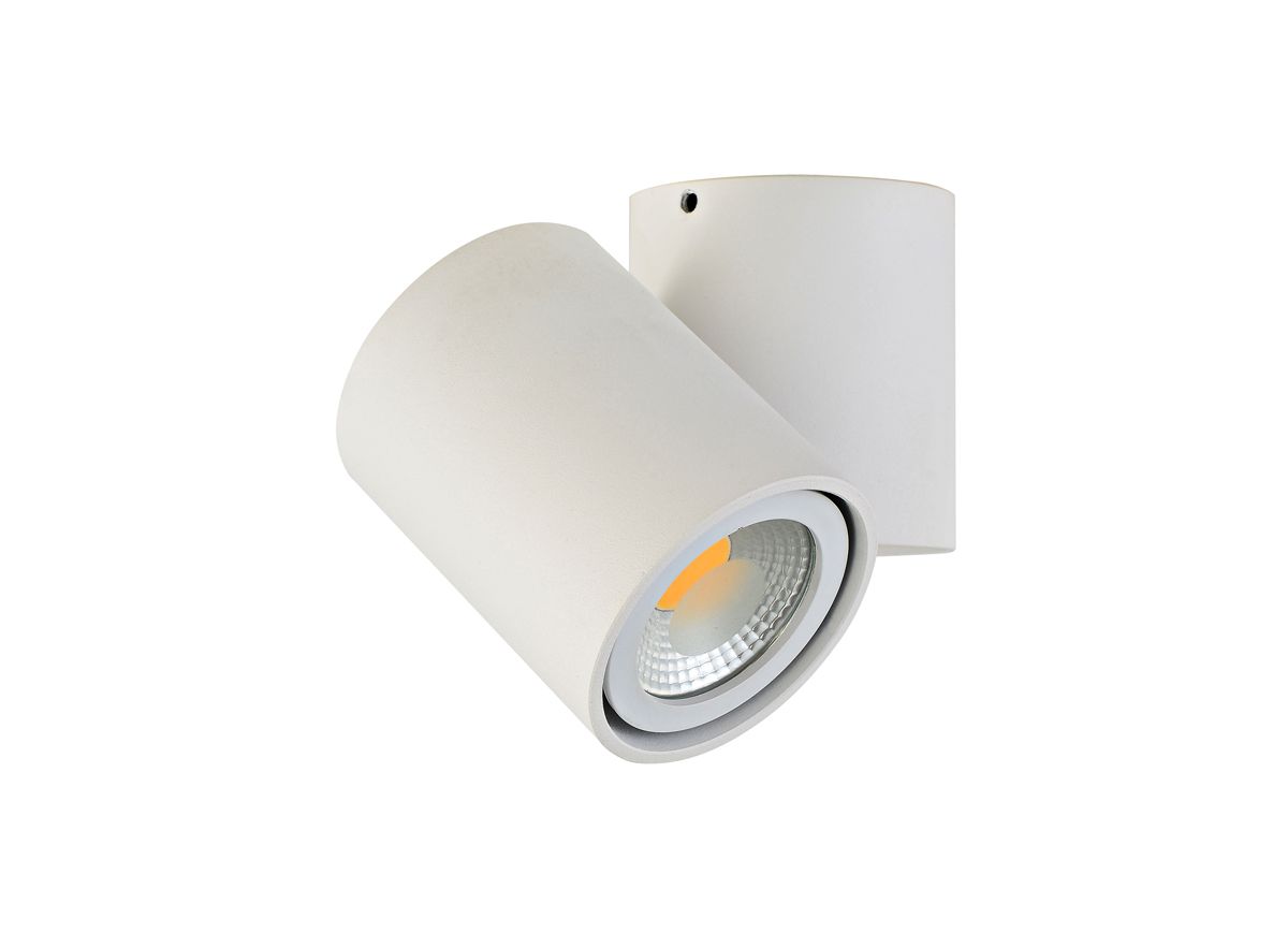

Спот Donolux A1594White/RAL9003, A1594White/RAL9003