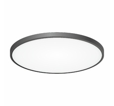 Настенно-потолочный светильник CitiLux Бейсик CL738501V