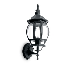 Настенный уличный фонарь IP44 Feron 11096_FR