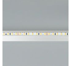Лента Arlight RTW-PS-A140-7mm 2835 058506_ARL