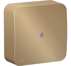 Распределительная коробка (титан) IP42 Systeme Electric BLNRK000014