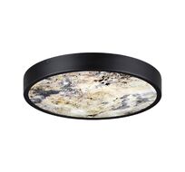 Настенно-потолочный светильник BERGI Odeon Light 5064/24L