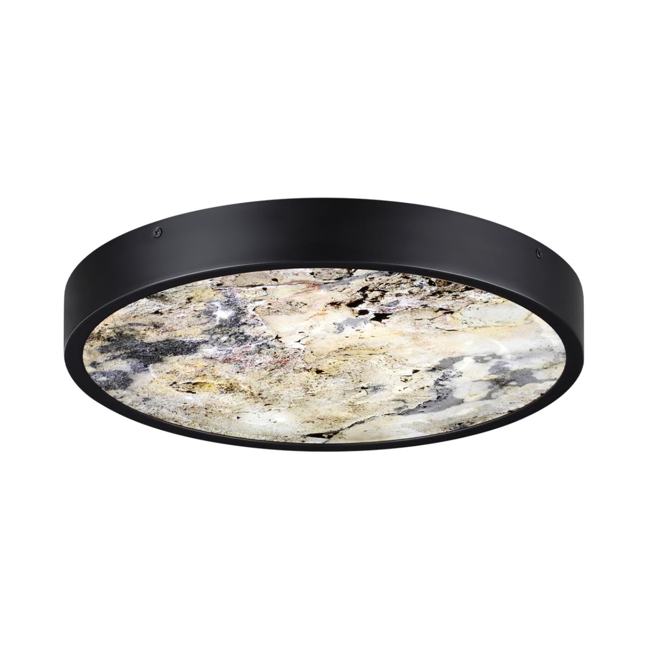 Настенно-потолочный светильник BERGI Odeon Light 5064/24L