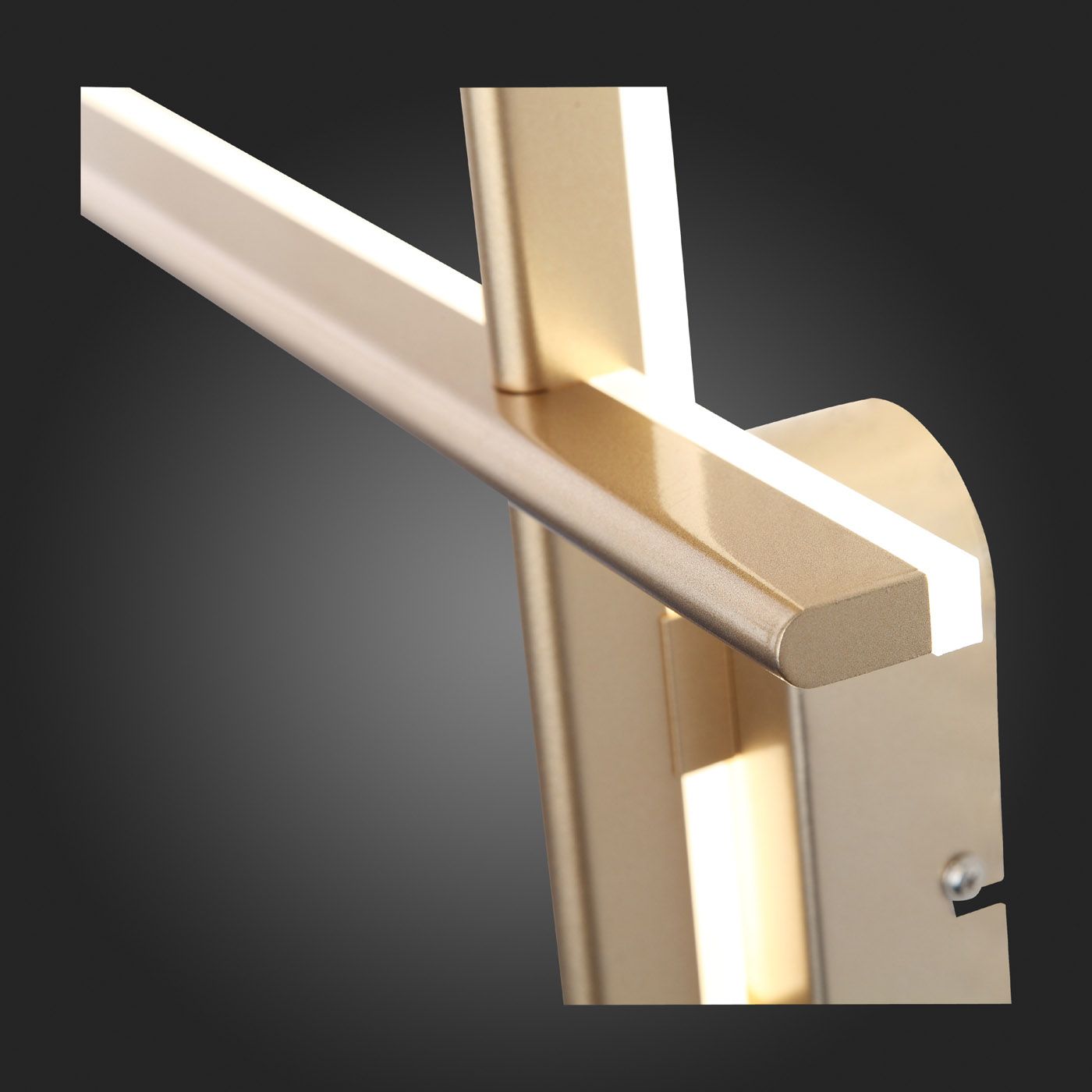 Настенный светильник ST Luce BASONI SL394.201.02