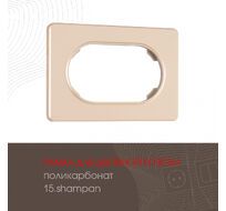 Рамка из поликарбоната для двойной розетки Arte Milano 502.15-double.shampan