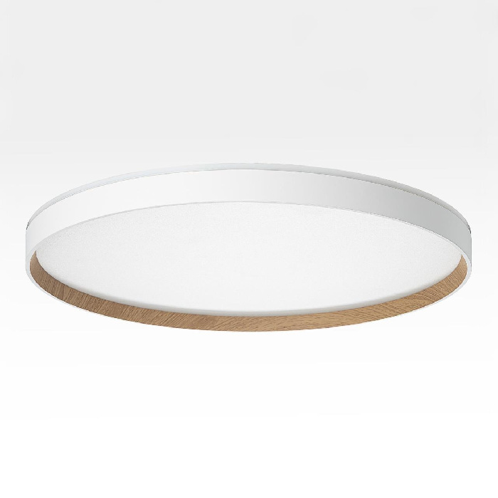 Потолочный светильник Citilux Etalon CL750500R