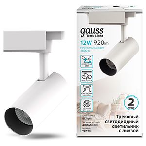

Трековые светильники Gauss, TR079
