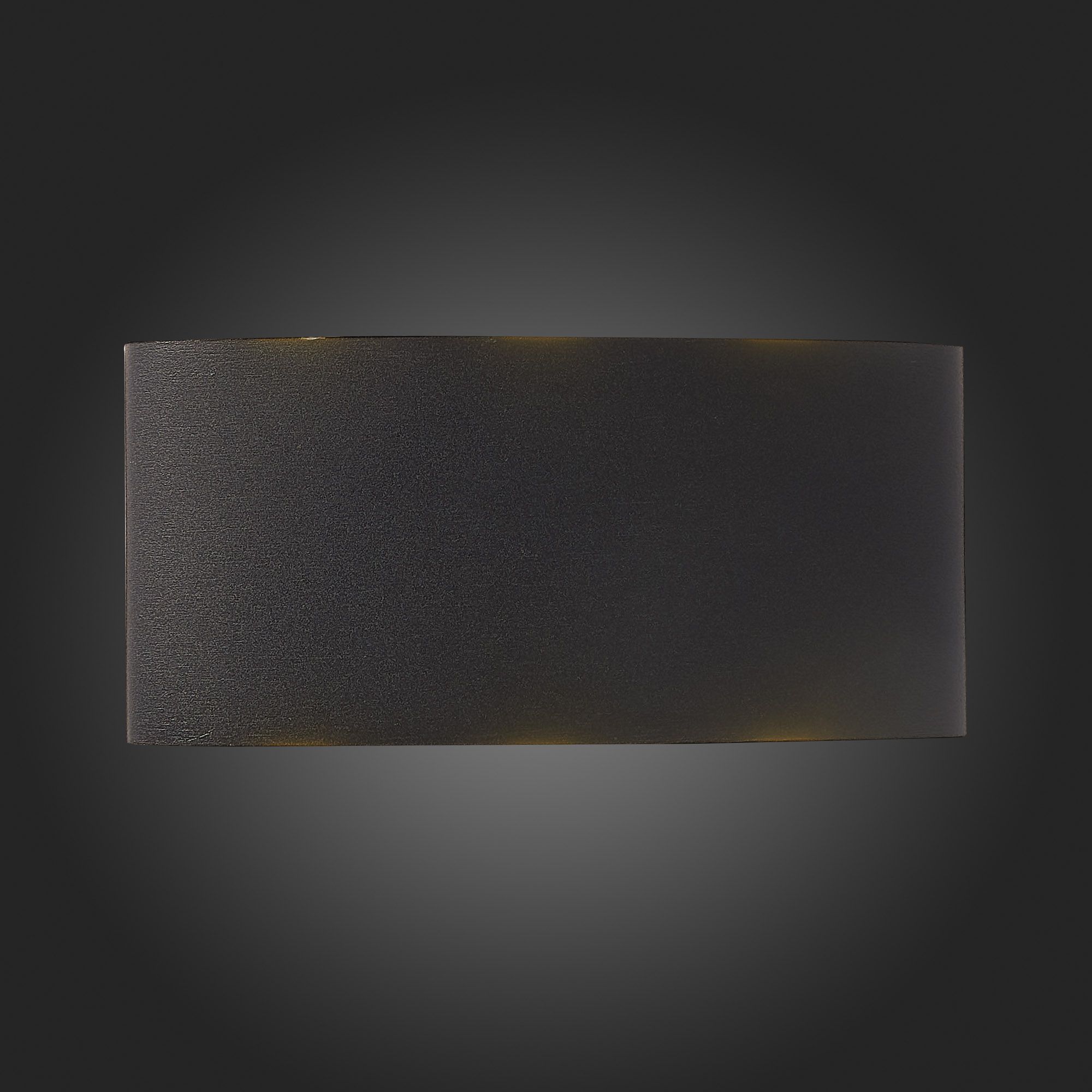 Светильник уличный настенный BISELLO SL089.401.06