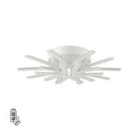 Потолочная люстра LUMION ALBERTA 8029/80CL