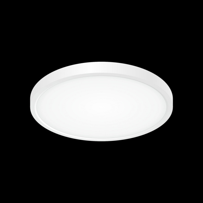 Настенно-потолочный светильник CitiLux Бейсик CL738240V