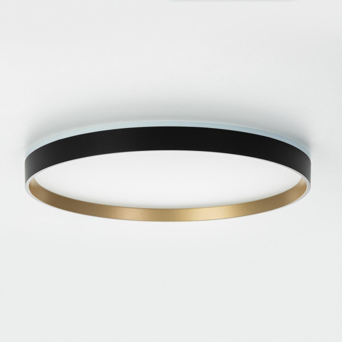 Потолочный светильник CitiLux ETALON CL750401R