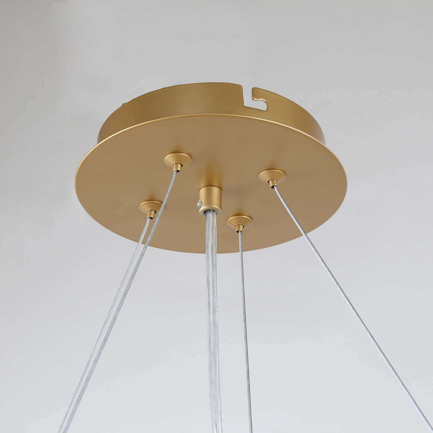 Подвесная люстра Favourite Ginkoa 4080-8P